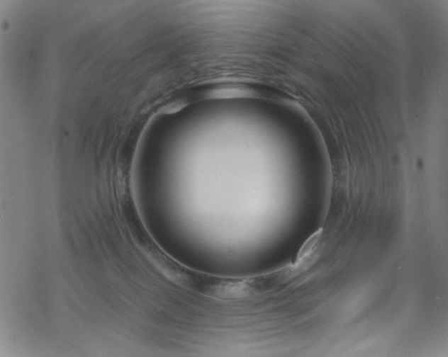 X0000070190086200606021108