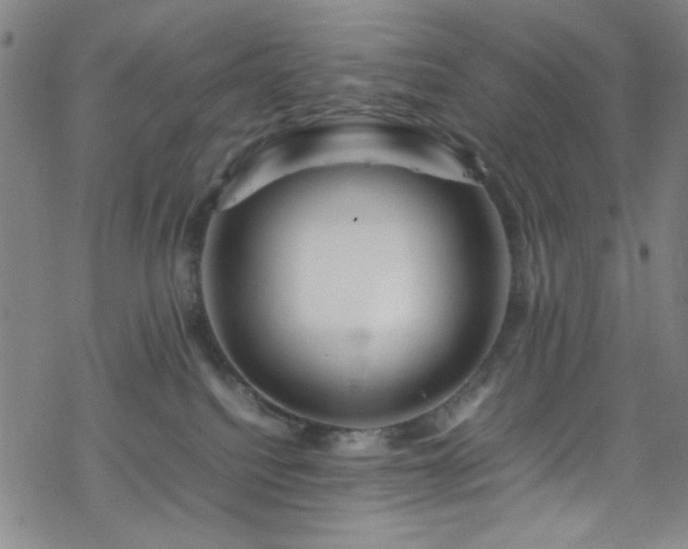 X0000070190088200606021108