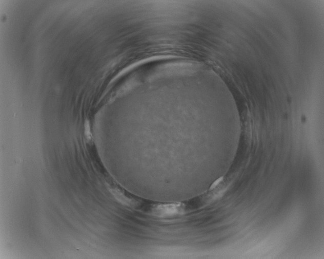 X0000070190089200606021108