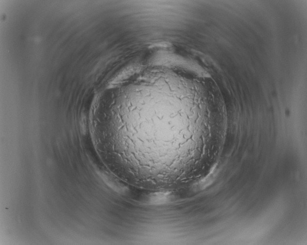 X0000070190090200606021108