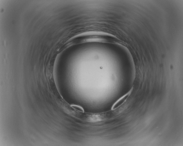 X0000070190091200606021108