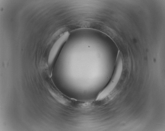 X0000070190092200606021108