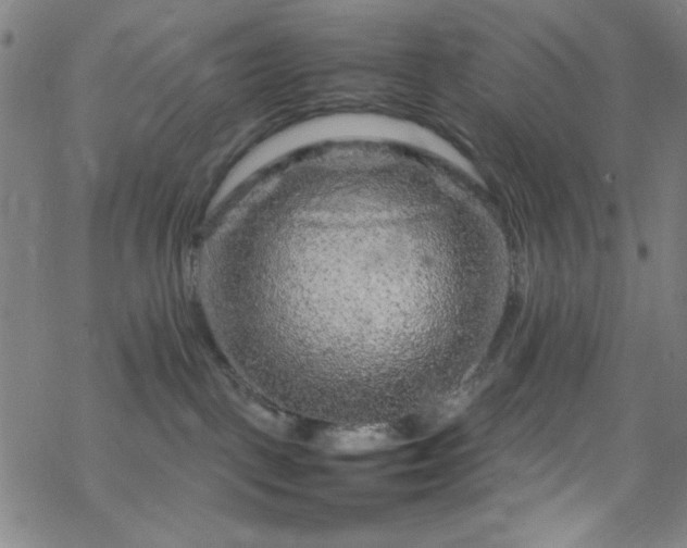 X0000070190093200606021108