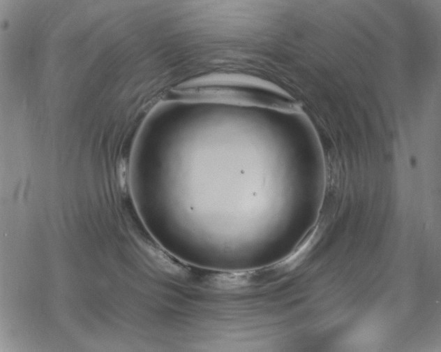 X0000070190094200606021108