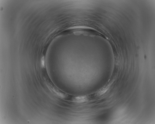 X0000070190095200606021108