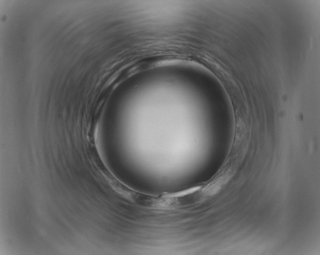 X0000070190096200606021108