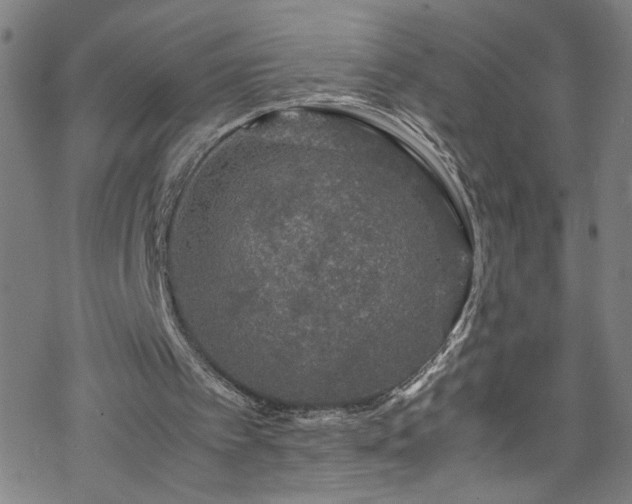 X0000070190097200606021107