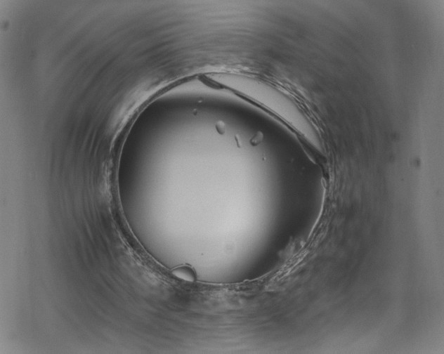 X0000070190098200606021107