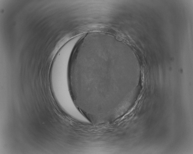 X0000070190099200606021107