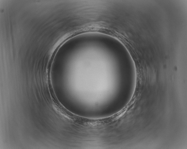 X0000070190100200606021107