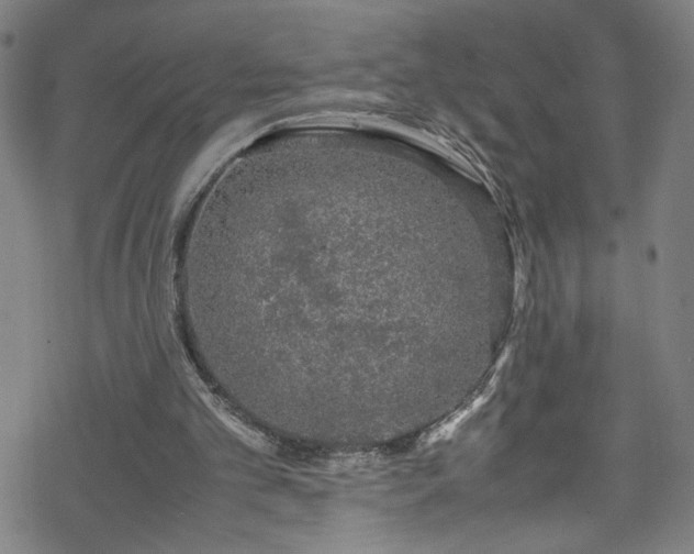 X0000070190101200606021107