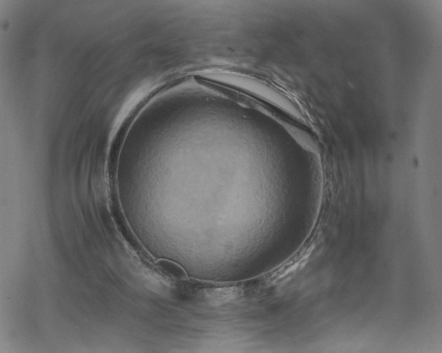 X0000070190102200606021107