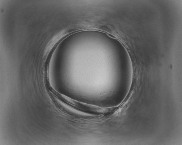 X0000070190103200606021107