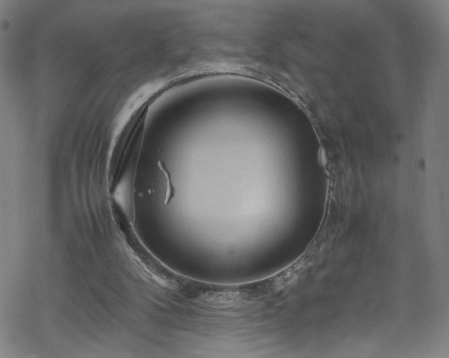 X0000070190104200606021107