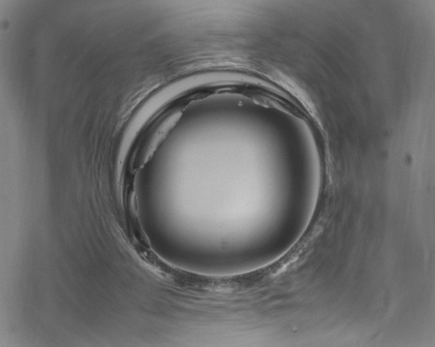 X0000070190105200606021107