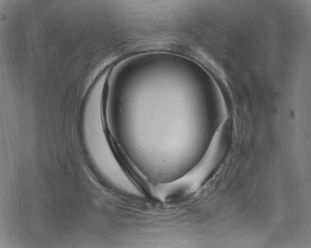 X0000070190107200606021107