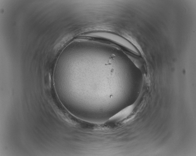 X0000070190109200606021107