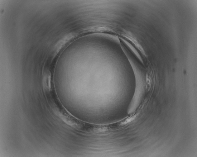 X0000070190110200606021107