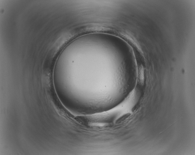 X0000070190111200606021107