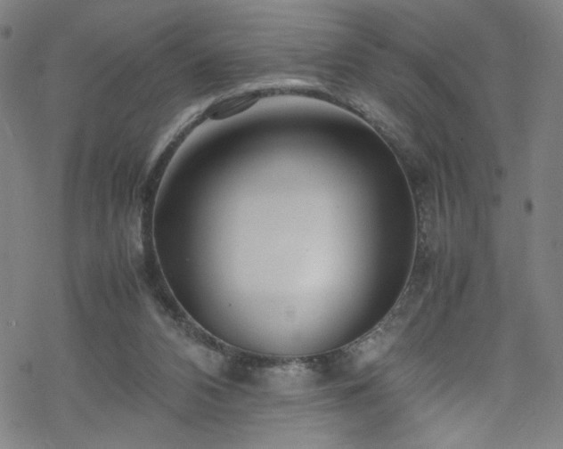 X0000070190112200606021107