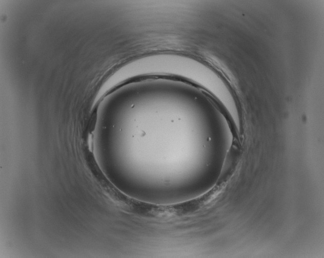 X0000070190113200606021107