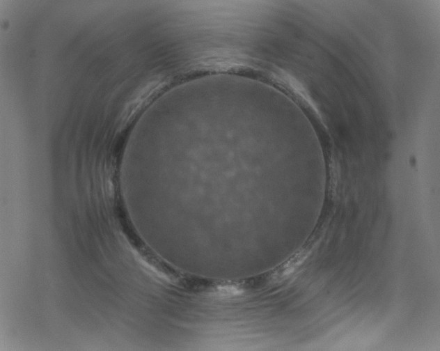 X0000070190114200606021107