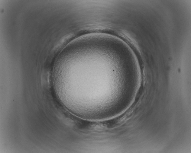 X0000070190115200606021107