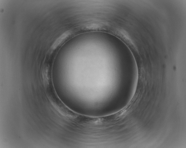 X0000070190116200606021107