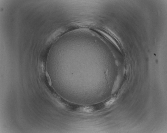 X0000070190117200606021107