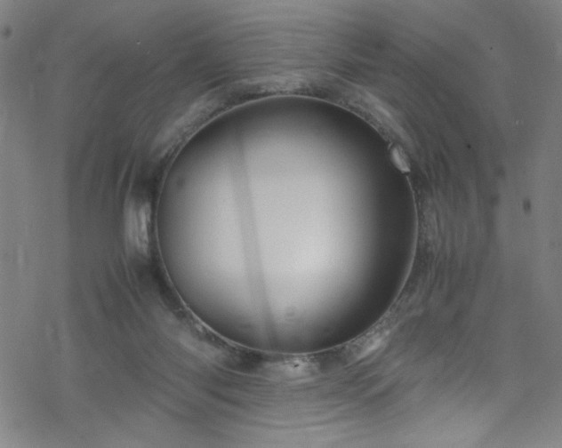 X0000070190118200606021107