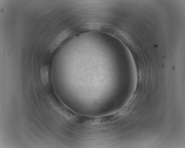 X0000070190120200606021107