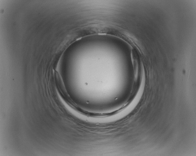 X0000070190121200606021107