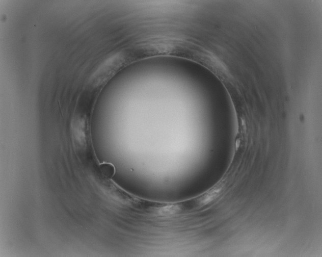 X0000070190122200606021107