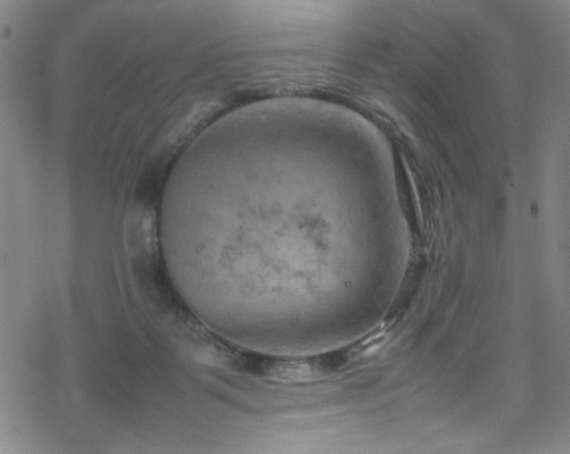 X0000070190123200606021107