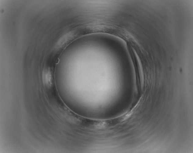 X0000070190124200606021107