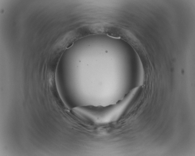 X0000070190125200606021107