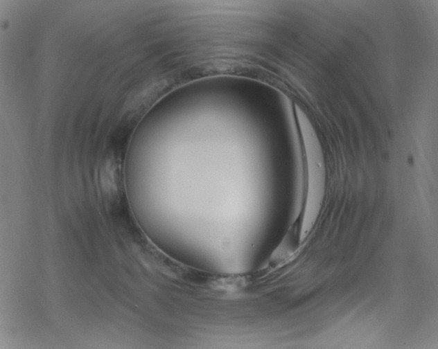 X0000070190126200606021107