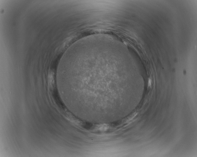 X0000070190127200606021107