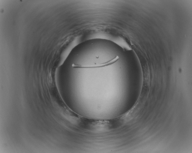 X0000070190128200606021107