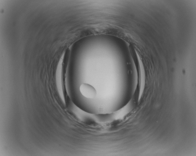 X0000070190129200606021107