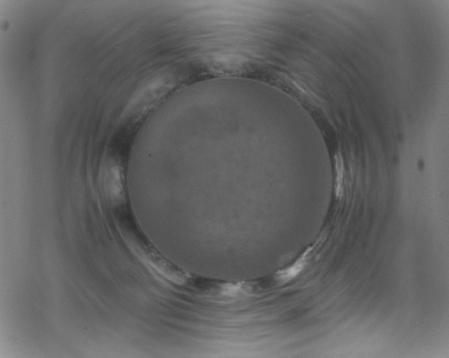 X0000070190130200606021107