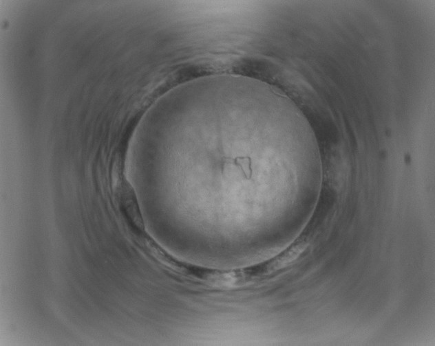 X0000070190131200606021107