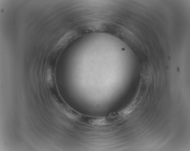 X0000070190132200606021107