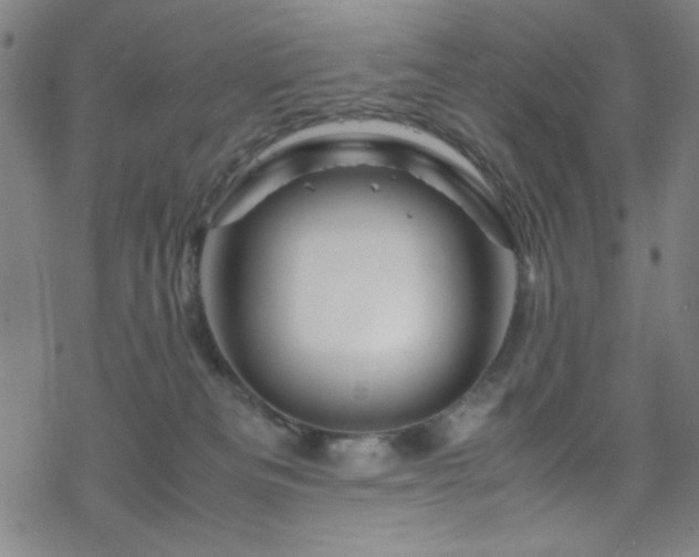 X0000070190133200606021107