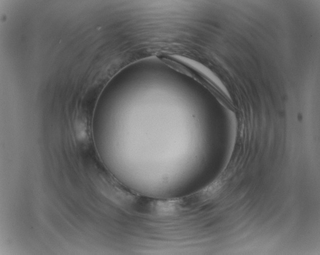 X0000070190134200606021107