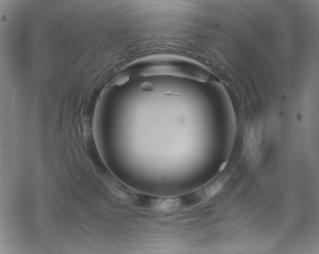 X0000070190135200606021107