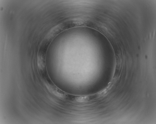 X0000070190136200606021107