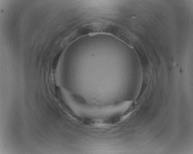 X0000070190137200606021107