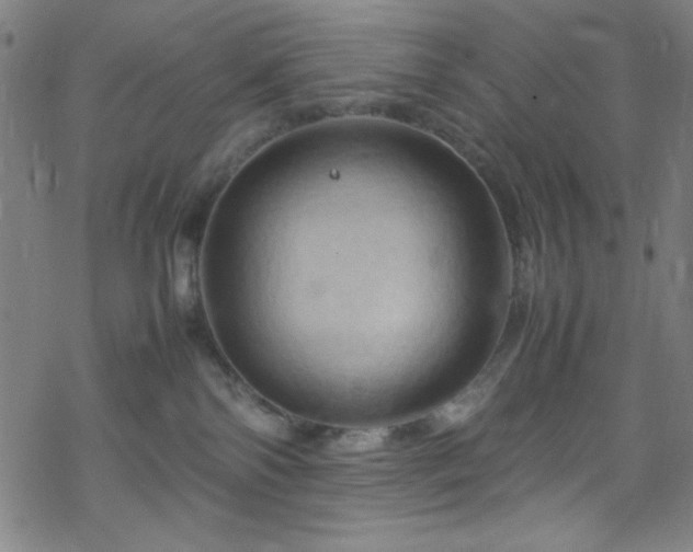 X0000070190138200606021107