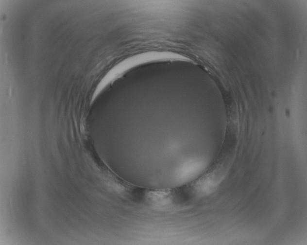 X0000070190139200606021107